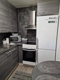 Apartment Neitamo44 - Ivalo - 4