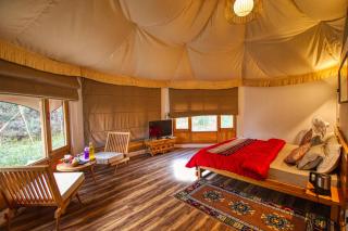 Chalet Seabuckthorn - Hunder - Hundar - 6