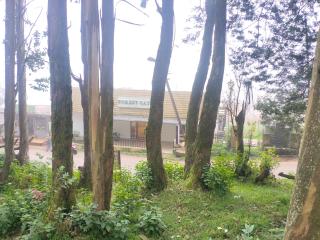 Forest Gate only family - Ooty - 3