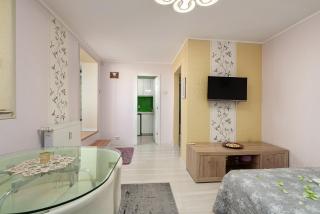 Stone Gate Apartment #1 - Bucharest - 8