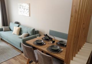Vila Planinsko Blago - Kopaonik - 6