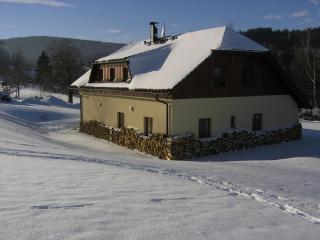 Šumavské apartmány - Zdíkov - 1
