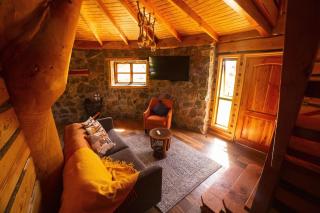 Encantadora Casa del Árbol en el Valle del Elqui! - La Serena - 5