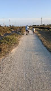 Villa Flamants Rose - 2
