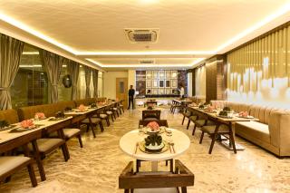 Hotel Avalon Palms Agra - 3