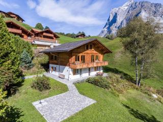 Apartment Mühlegaden - GRIWA RENT AG - Grindelwald - 2