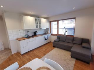 Vytauto 423 Apartments by JK - 9