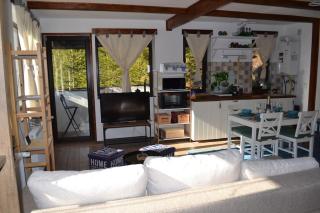 Studio Mirage@Snow Residence (ski & forest) - Azuga - 9