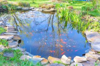 Huge Farmhouse with Heated Pool for Vacations and Retreats - Roseland - 7