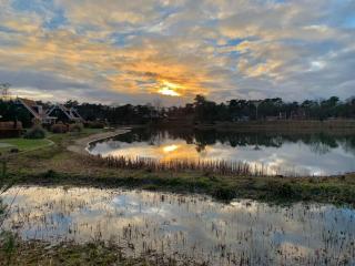Delightful luxury 2-bedroom holiday home in nature - Otterlo - 5