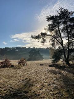 Delightful luxury 2-bedroom holiday home in nature - 2