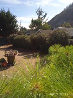 Cabañas Selva Negra - 2