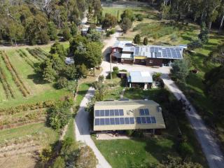 Eureka Farm - Scamander - 0