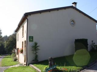 Maison de charme près de Neufchâteau avec jardin, terrasse et jeux extérieurs - FR-1-589-163 - 9