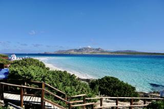 Resort con piscina a soli 250 mt dalla spiaggia La Pelosa - Stintino - 6