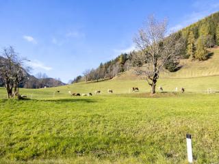 Zentral gelegenes Apartment in Bad Kleinkirchheim - 6