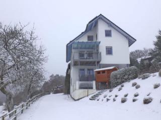 Apartment between Winterberg and Willingen - Medebach - 0