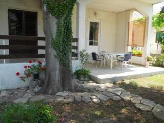 Apartment in Biograd na Moru with Terrace, Air conditioning, Wi-Fi 4801-1 - Biograd na Moru - 8