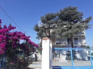 Luli Holidays Paestum - Paestum - 5