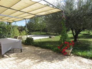 La Jasse - Saint-Quentin-la-Poterie - 8