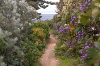 Central Cottage at the Sea 1 - Hermanus - 5
