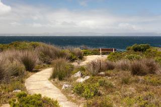 Central Cottage at the Sea 1 - Hermanus - 2