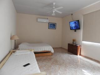 Departamento nuevo, amplio y cercano al centro de Posadas II - Posadas - 2