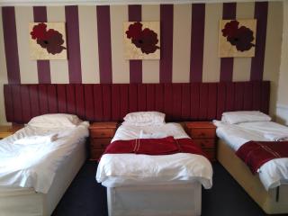Aberdeen Arms Hotel Tarland - Tarland - 9