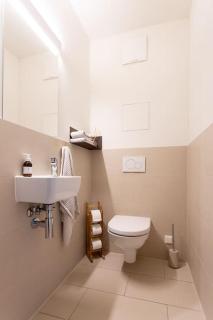 Dream Apartment - central and quiet with AC and free parking garage - Vienne - 1