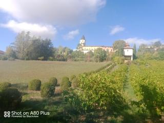 La villa - Labastide-de-Lévis - 7