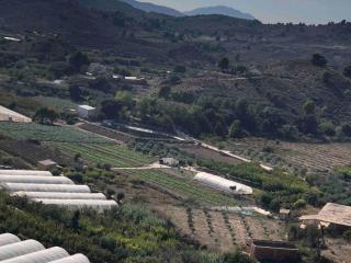 Finca Grace - 3
