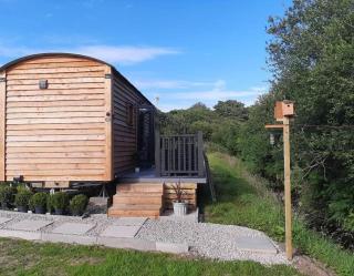 Shepherds Hut with hot tub on Anglesey North Wales - Gwalchmai - 0