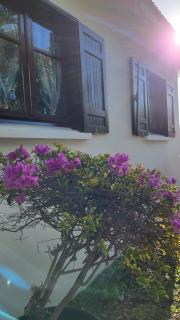 Villa Creole alamanda 2 - Petite Île - 8