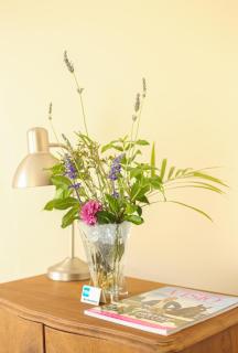 5 Seasons Guest House - 6