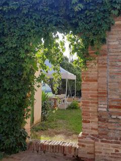 Villa Ginevri, La casa vacanze immersa nel verde - Mondavio - 2
