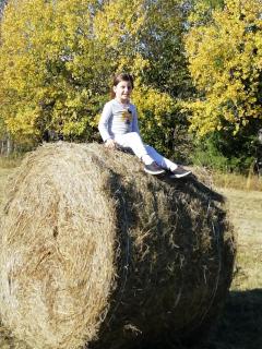 Demény vendégház - 7