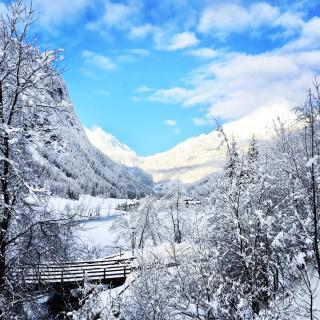 Bauernhof Stempf - 3