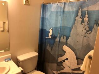 2 Bedroom 2 Bathroom - Blue Knob All Season Resort Condo - Claysburg - 3