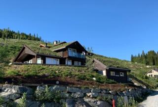 Fjelltun Lodge - 9