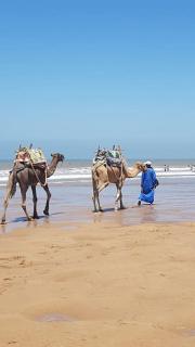 Charmant riad pour familles ou groupes - Dar Mama - 6