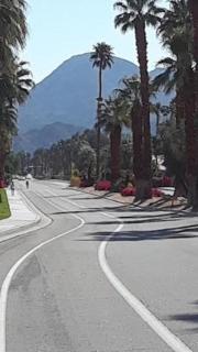 Spectacular luxury 3000 square ft house on 1/3 of acre - Palm Desert - 6