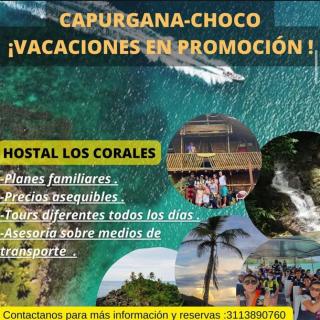 cabaña los corales - Capurganá - 2