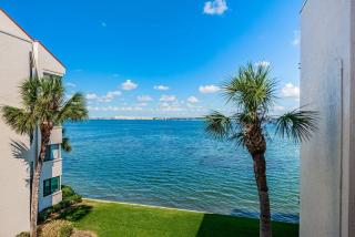 La Puerta Island Retreat with Florida Flair - St Petersburg - 5
