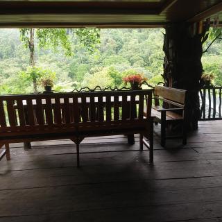 Mountain View Tangkahan - Tangkahan - 0