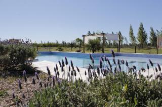 Aldea Amedo - San Rafael - 1