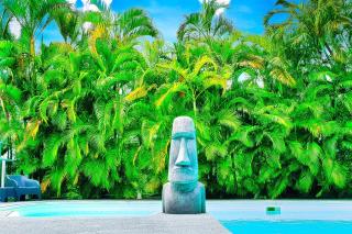 GREEN LORD DOMAINE - Lodges Piscine & Spa - Bar & Lounge - Restaurant gastronomique - Lamentin - 8