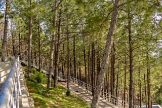 The Point by Roomy, Thandiani - Abbottabad - 9