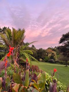 Romantic vintage retreat away in West Auckland - Swanson - 8