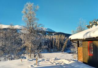 Trysil Hyttegrend - 2