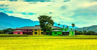 小葉園民宿Little Ya B&B - Ruilong - 0